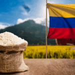 PARO ARROCEROS Y BLOQUEOS VIALES